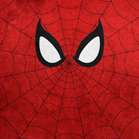 bigspider